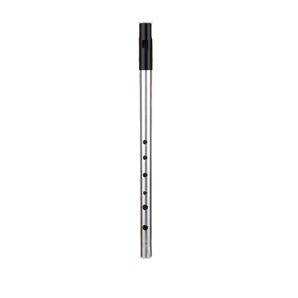 Tin Whistle Flute - C/D Key Irish Whistle Flute Rich