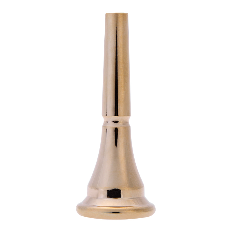 Professional Gold Silver Plate - Musical Instrument French recension och pris