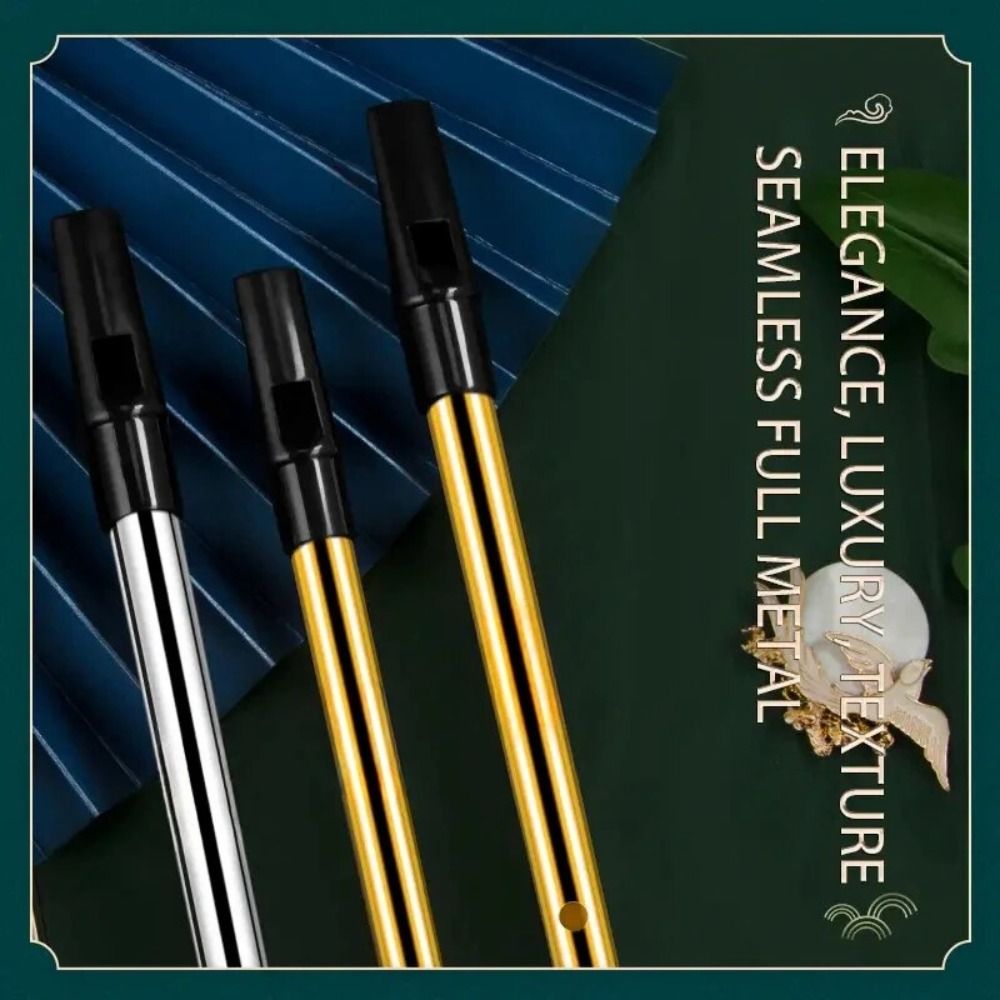 C/D Key Irish Whistle Flute 6  - Tin Whistle Flute recension och pris