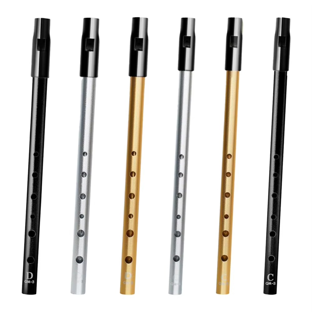 C/D Key Irish Whistle Flute Ri - Tin Whistle Flute recension och pris