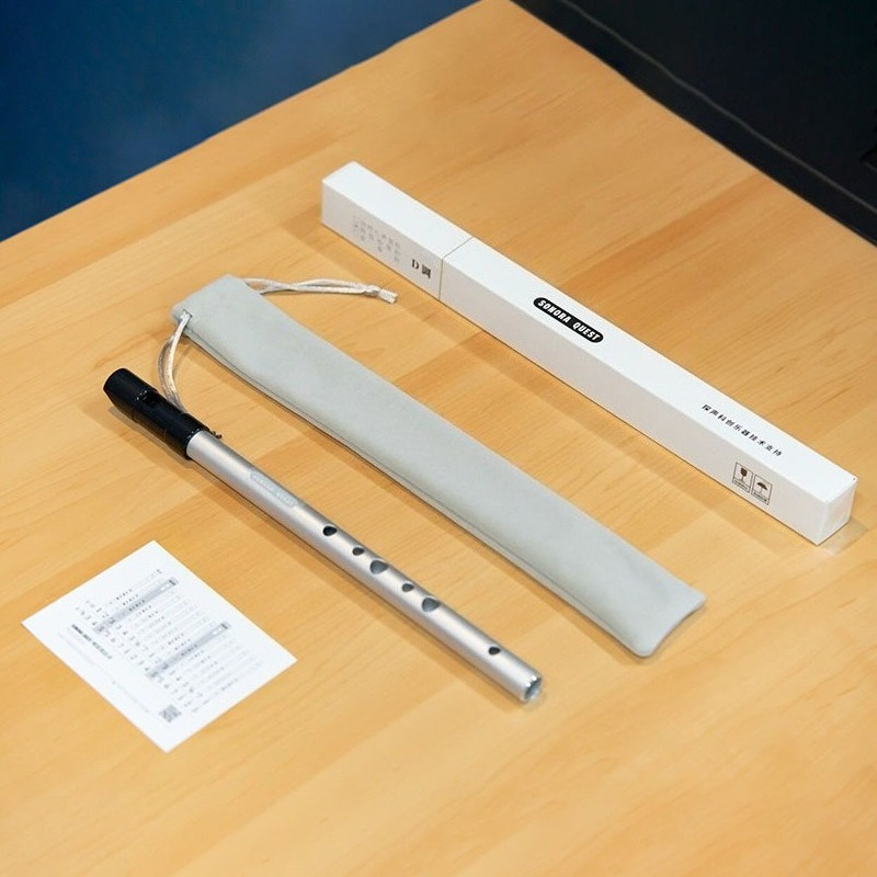 D Key 6 Hole Penny Whistle Met - Tin Whistle Flute recension och pris