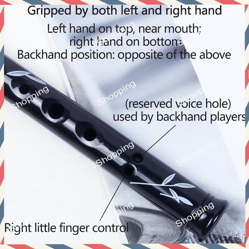 A44M 6 Holes Irish Tin Penny W - Tin Whistle Flute recension och pris