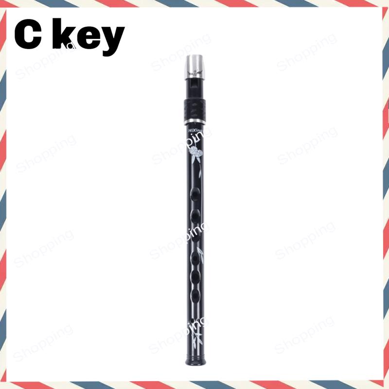 A44M 6 Holes Irish Tin Penny W - Tin Whistle Flute recension och pris