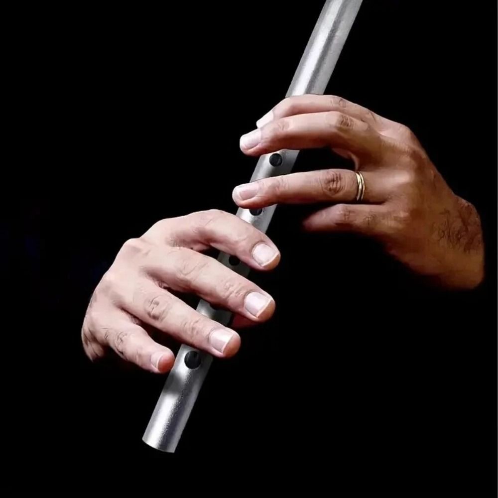 C/D Key Irish Whistle Flute Ri - Tin Whistle Flute recension och pris