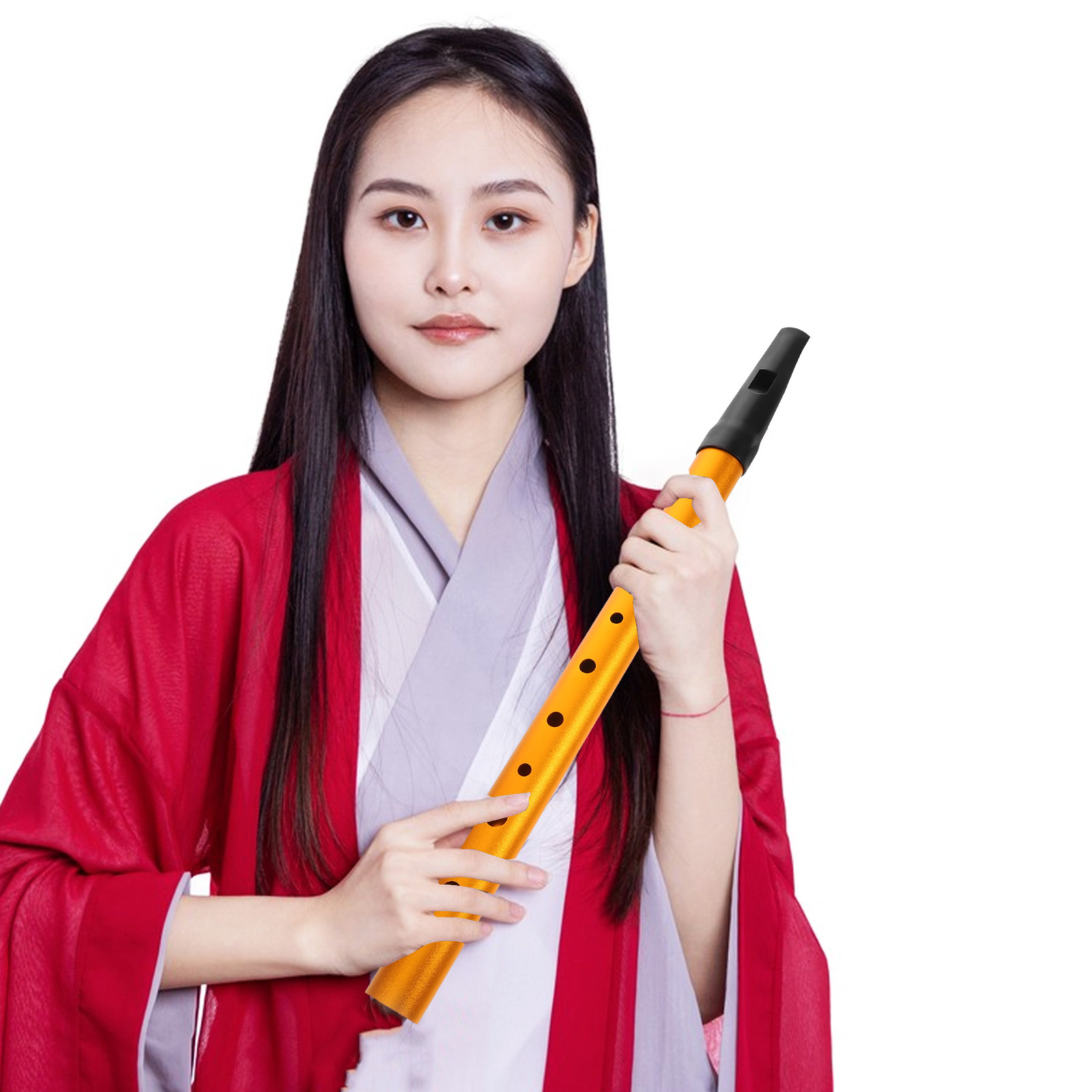6-Hole Key Whistle Beginner Ir - Tin Whistle Flute recension och pris